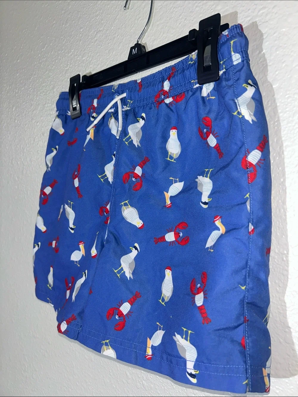 Boy’s Jamie and Jack Blue Seagull & Lobster Swim Shorts